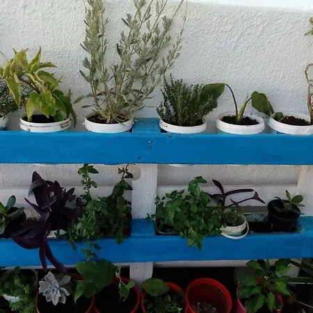 3 Min From The Beach-white&blue House In Apollon (Naxos)
