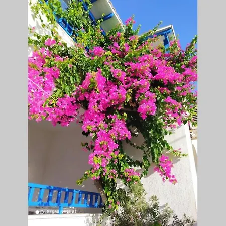 3 Min From The Beach-white&blue House In Apartament