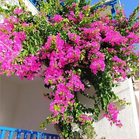 Apartmán 3 Min From The Beach-white&blue House In